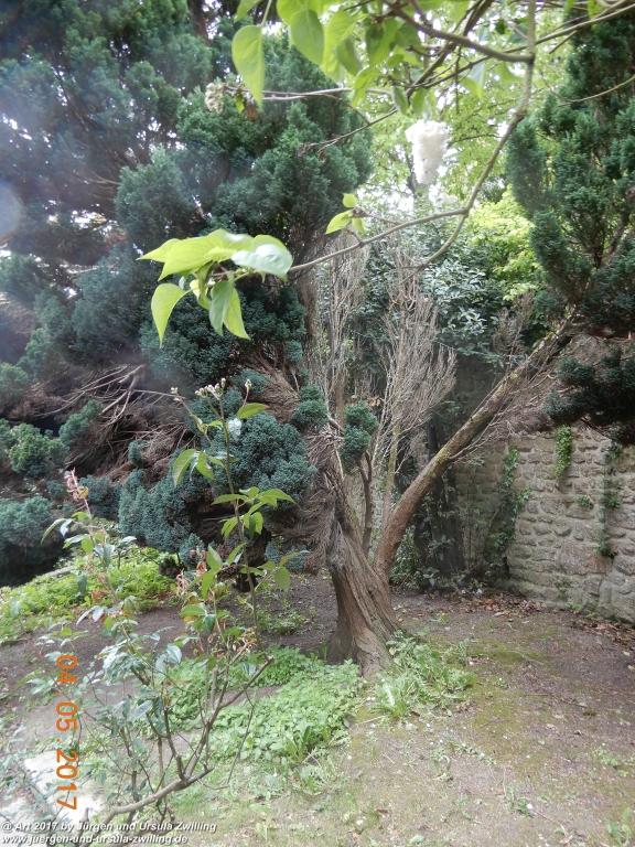 Le Mont Saint Michel - Normandie - Frankreich
