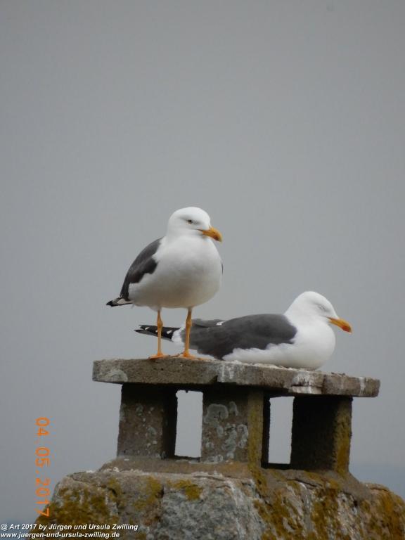Le Mont Saint Michel - Normandie - Frankreich