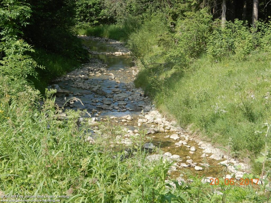 Philosophische Bildwanderung Grän - (Neunerköpfle zur Brotzeit) Tannheim Vilsalpsee Tannheimer Tal - Österreich