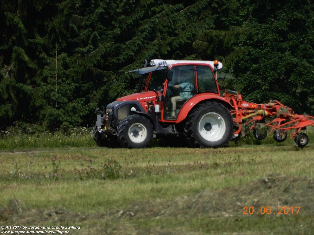 Philosophische Bildwanderung Grän - (Neunerköpfle zur Brotzeit) Tannheim Vilsalpsee Tannheimer Tal - Österreich