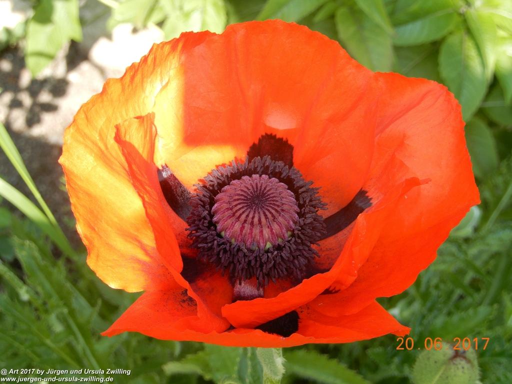 Philosophische Bildwanderung Grän - (Neunerköpfle zur Brotzeit) Tannheim Vilsalpsee Tannheimer Tal - Österreich