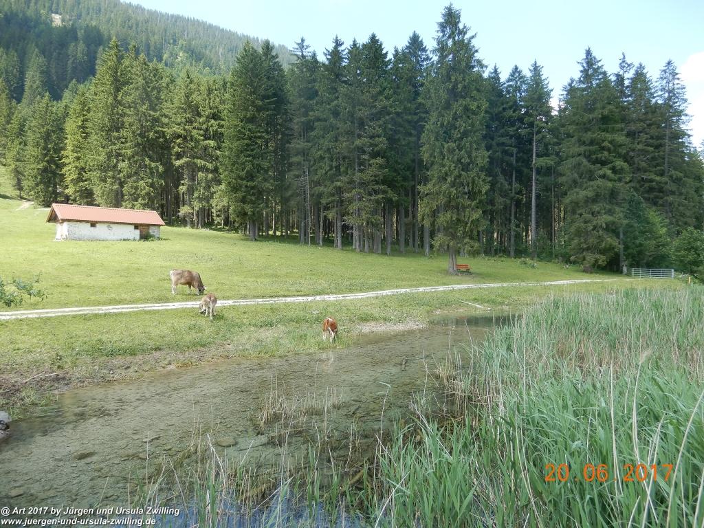 Philosophische Bildwanderung Grän - (Neunerköpfle zur Brotzeit) Tannheim Vilsalpsee Tannheimer Tal - Österreich