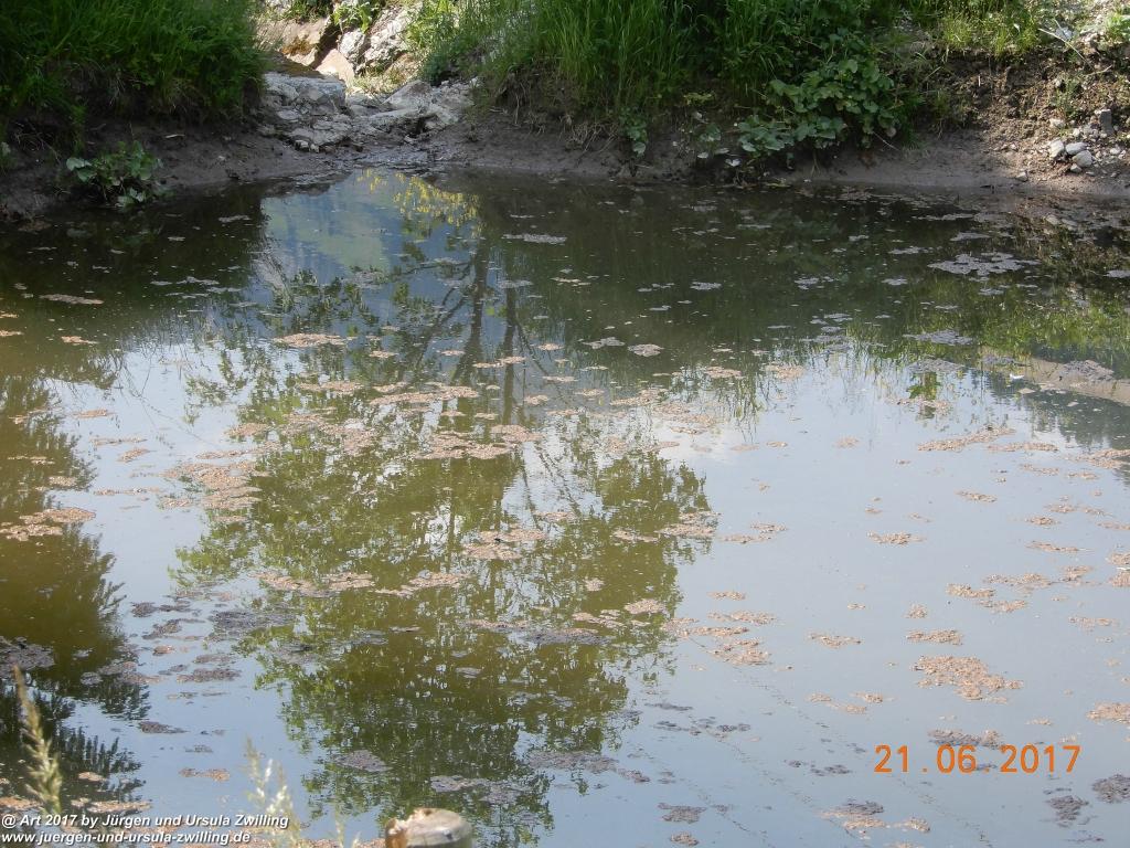 Philosophische Bildwanderung - Grän - Haldensee -Grän  Tannheimer Tal - Österreich