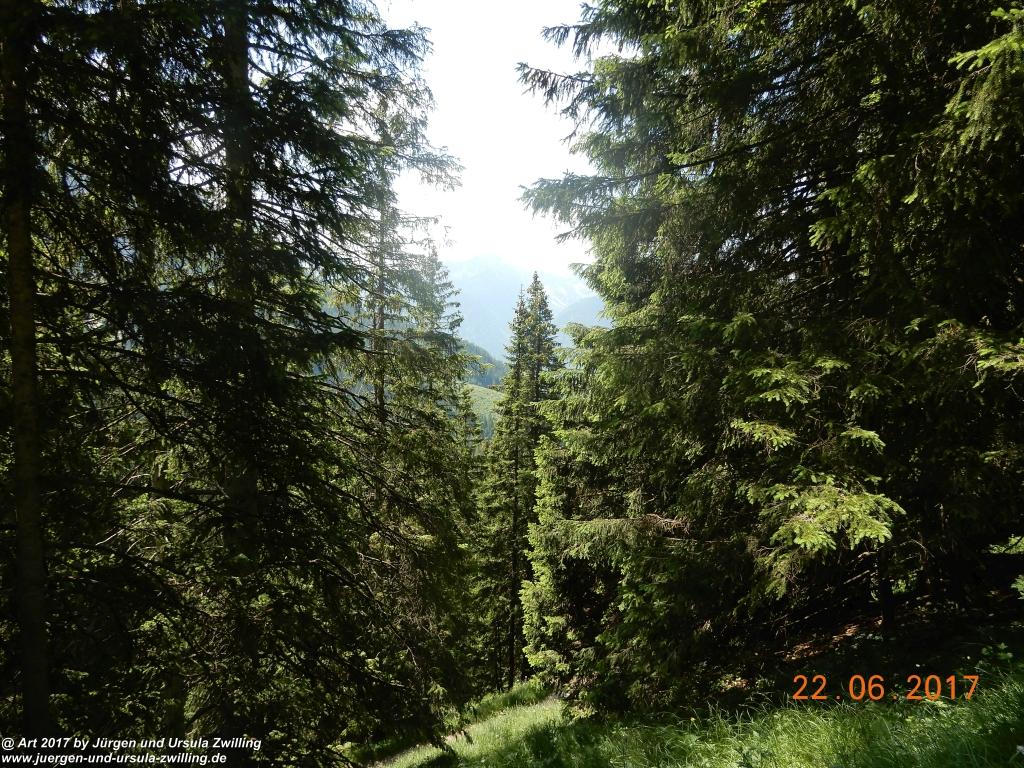 Philosophische Bildwanderung Bad Kissinger Hütte -Tannheimer Tal - Österreich