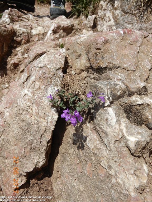 Philosophische Bildwanderung Bad Kissinger Hütte -Tannheimer Tal - Österreich