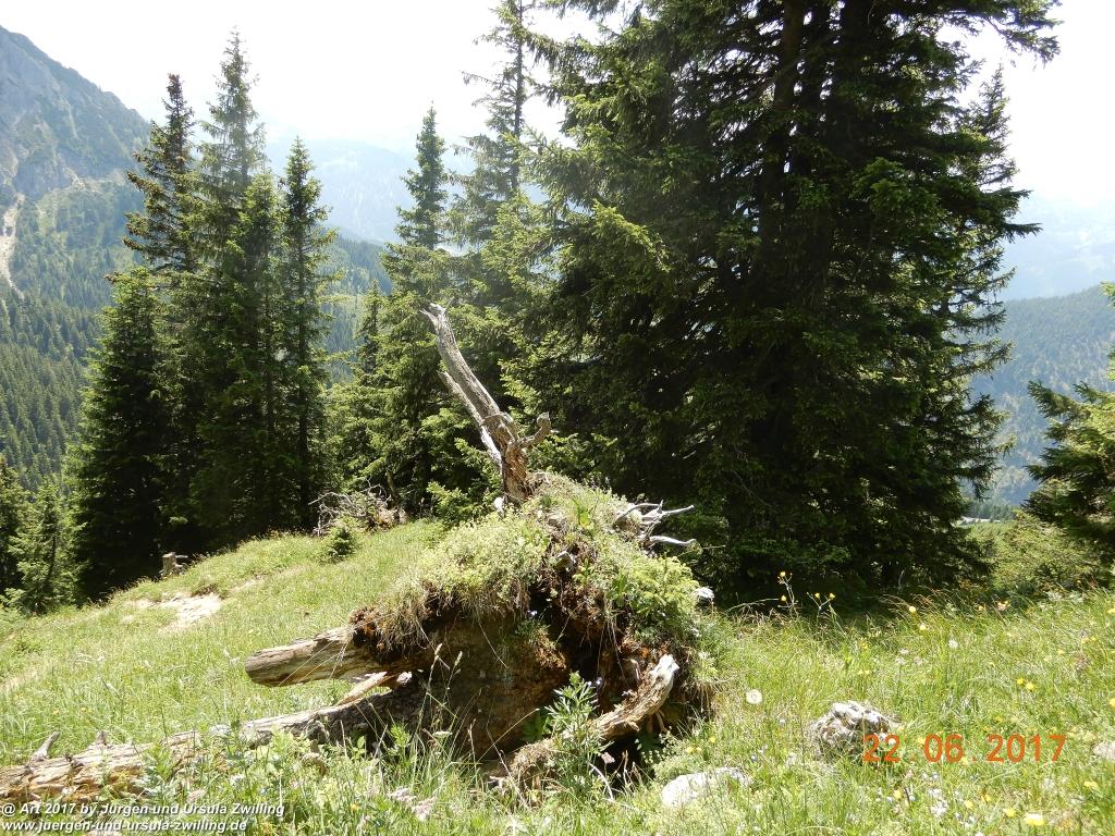 Philosophische Bildwanderung Bad Kissinger Hütte -Tannheimer Tal - Österreich