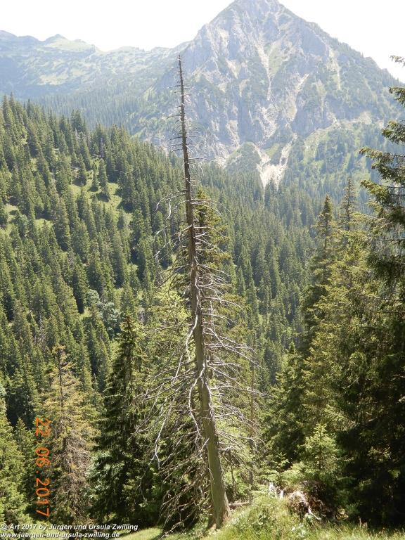 Philosophische Bildwanderung Bad Kissinger Hütte -Tannheimer Tal - Österreich