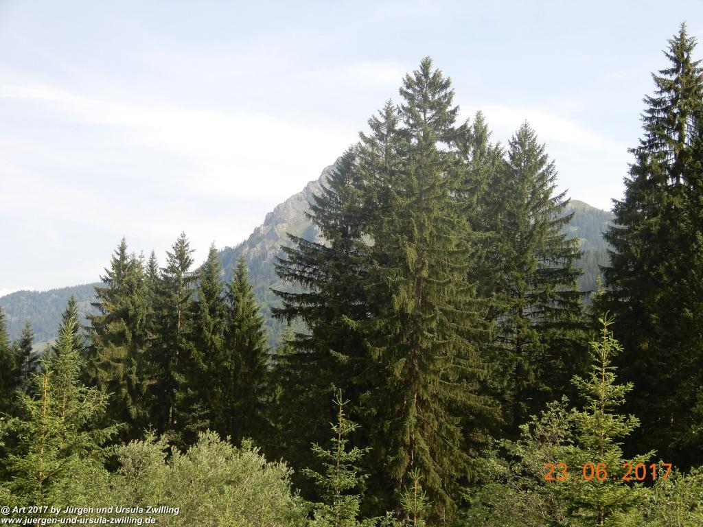 Philosophische Bildwanderung - Grain - Füssener - Jöchle - Sonnenalm - Gessenwangalm -Adlerhorst - Haldensee - Grän Tannheimer Tal  - Österreich