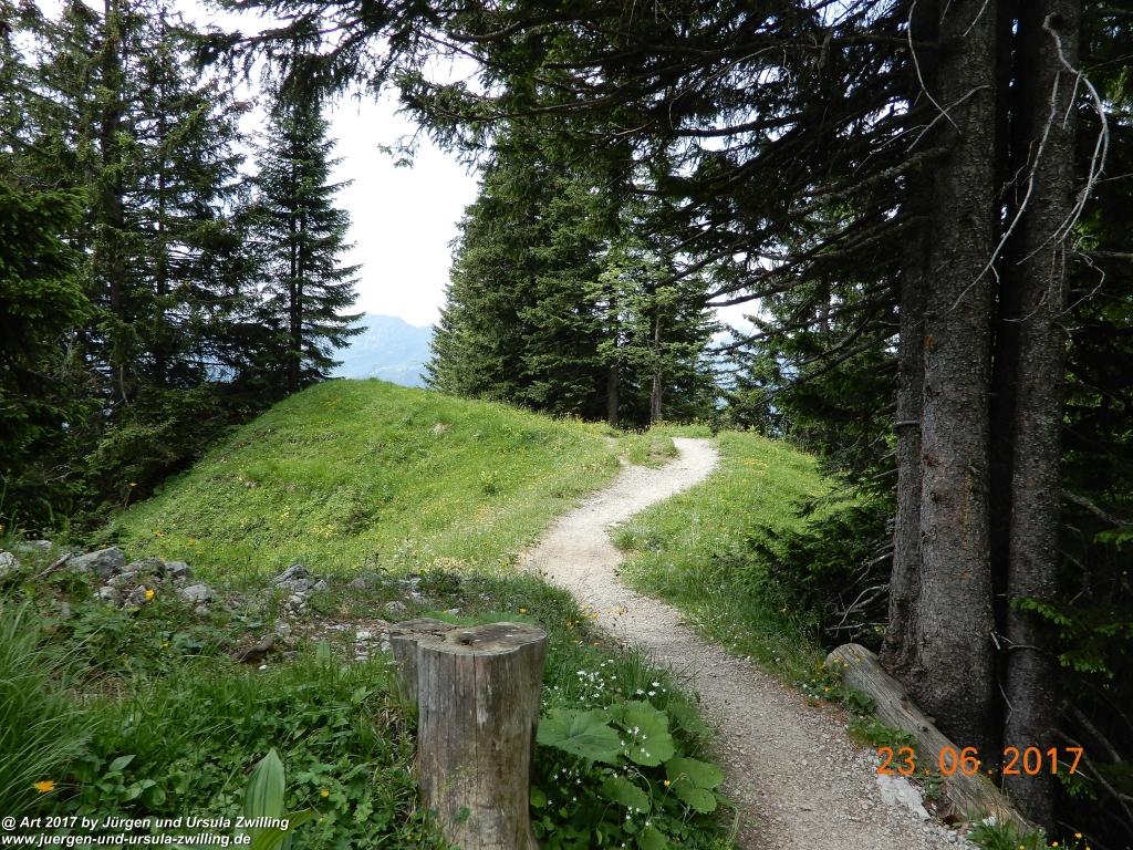 Philosophische Bildwanderung - Grain - Füssener - Jöchle - Sonnenalm - Gessenwangalm -Adlerhorst - Haldensee - Grän Tannheimer Tal  - Österreich
