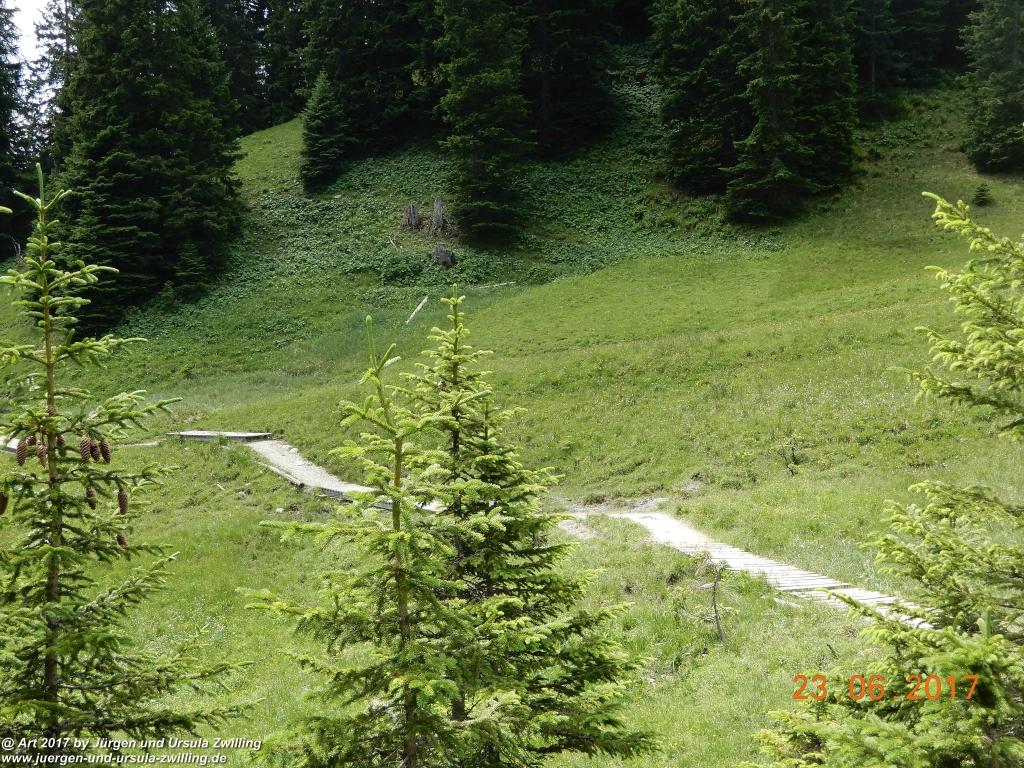 Philosophische Bildwanderung - Grain - Füssener - Jöchle - Sonnenalm - Gessenwangalm -Adlerhorst - Haldensee - Grän Tannheimer Tal  - Österreich