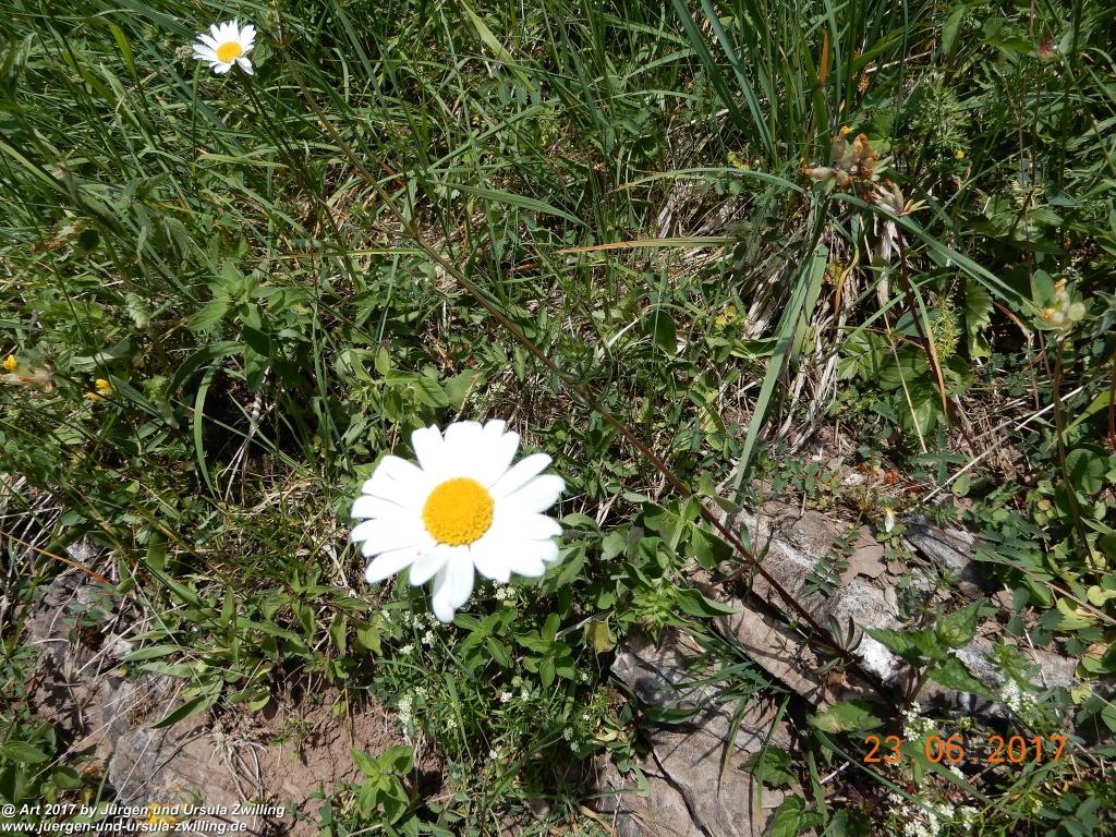 Philosophische Bildwanderung - Grain - Füssener - Jöchle - Sonnenalm - Gessenwangalm -Adlerhorst - Haldensee - Grän Tannheimer Tal - Österreich