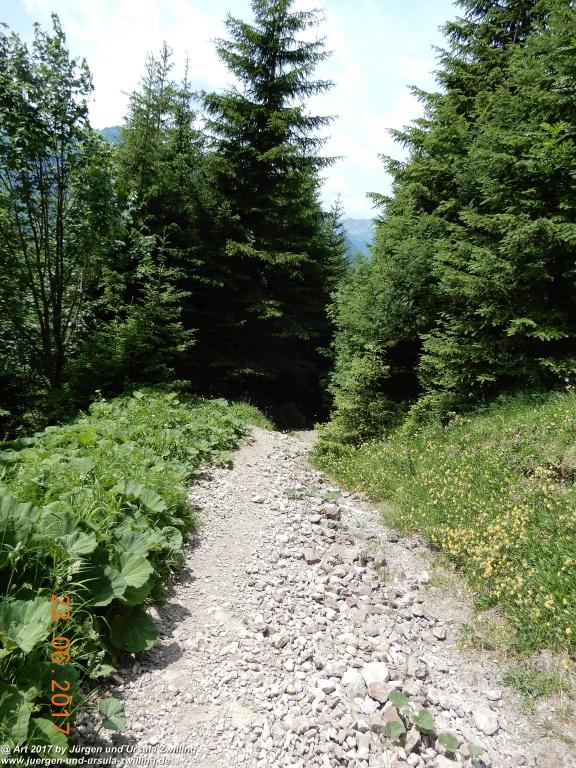 Philosophische Bildwanderung - Grain - Füssener - Jöchle - Sonnenalm - Gessenwangalm -Adlerhorst - Haldensee - Grän Tannheimer Tal - Österreich