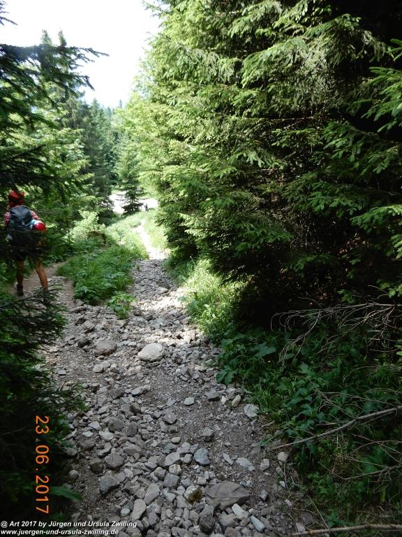 Philosophische Bildwanderung - Grain - Füssener - Jöchle - Sonnenalm - Gessenwangalm -Adlerhorst - Haldensee - Grän Tannheimer Tal - Österreich