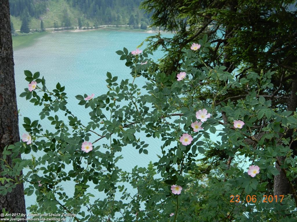 Philosophische Bildwanderung - Grain - Füssener - Jöchle - Sonnenalm - Gessenwangalm -Adlerhorst - Haldensee - Grän Tannheimer Tal - Österreich