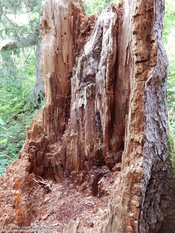 Philosophische Bildwanderung - Grain - Füssener - Jöchle - Sonnenalm - Gessenwangalm -Adlerhorst - Haldensee - Grän Tannheimer Tal - Österreich