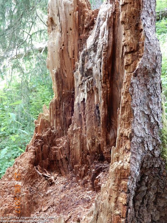 Philosophische Bildwanderung - Grain - Füssener - Jöchle - Sonnenalm - Gessenwangalm -Adlerhorst - Haldensee - Grän Tannheimer Tal - Österreich