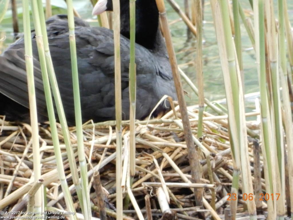Philosophische Bildwanderung - Grain - Füssener - Jöchle - Sonnenalm - Gessenwangalm -Adlerhorst - Haldensee - Grän Tannheimer Tal - Österreich