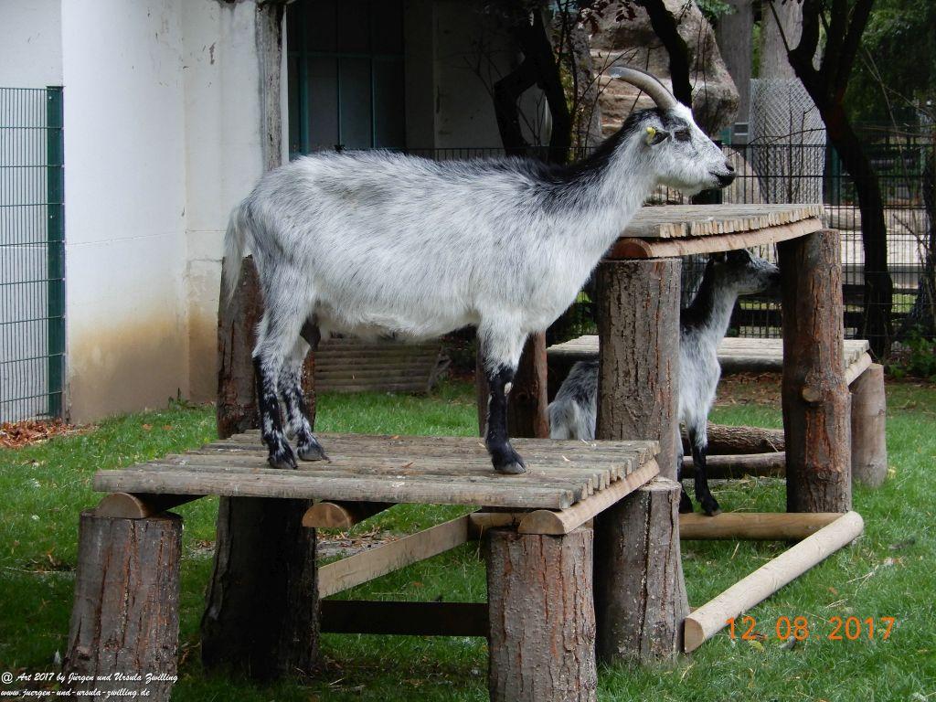 Nancy - Lothringen - Grand Est -Frankfreich