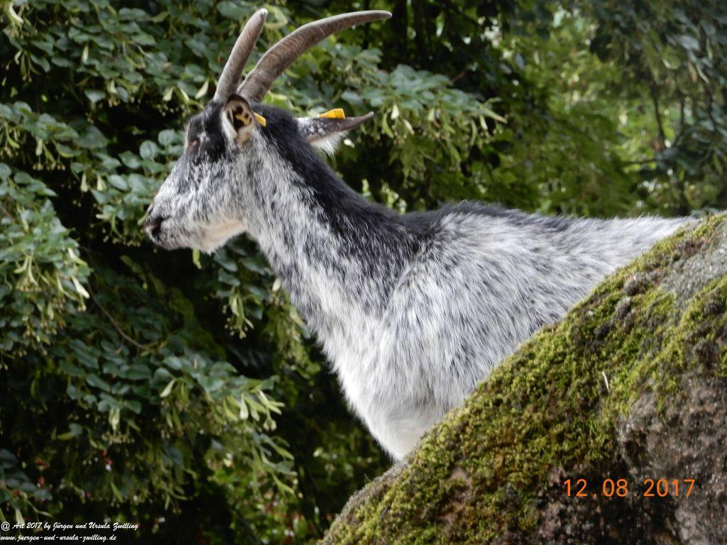 Nancy - Lothringen - Grand Est -Frankfreich