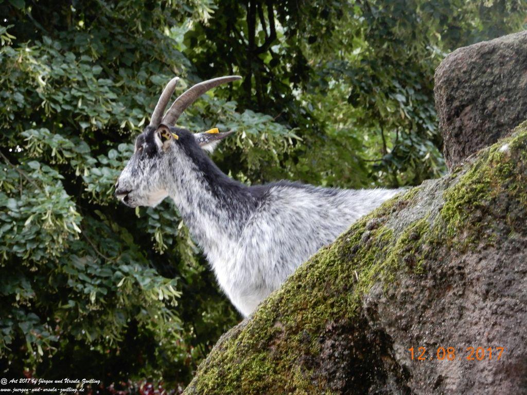 Nancy - Lothringen - Grand Est -Frankfreich