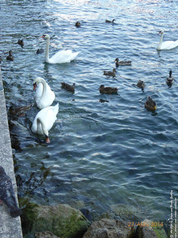 Riva del Garda - Lombardei - Brescia - Gardasee - Italien