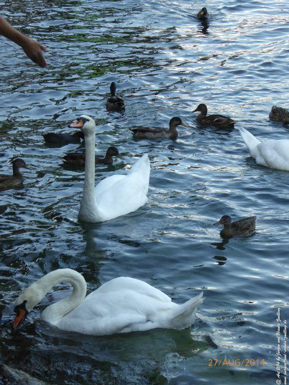 Riva del Garda - Lombardei - Brescia - Gardasee - Italien