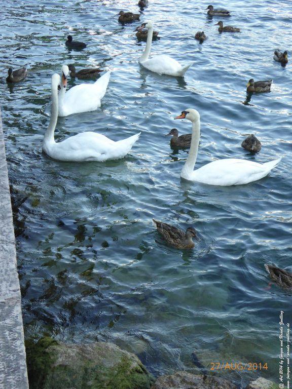 Riva del Garda - Lombardei - Brescia - Gardasee - Italien