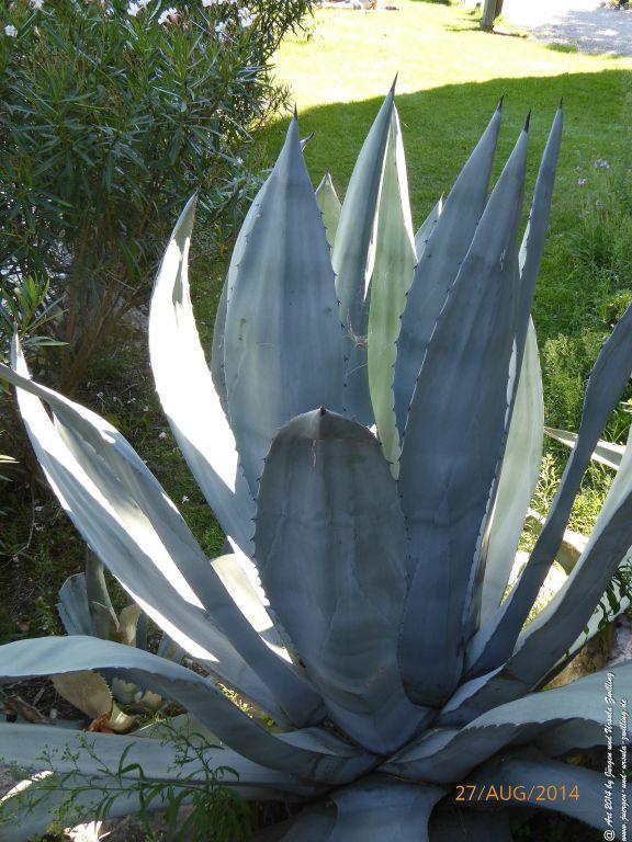 Riva del Garda - Lombardei - Brescia - Gardasee - Italien