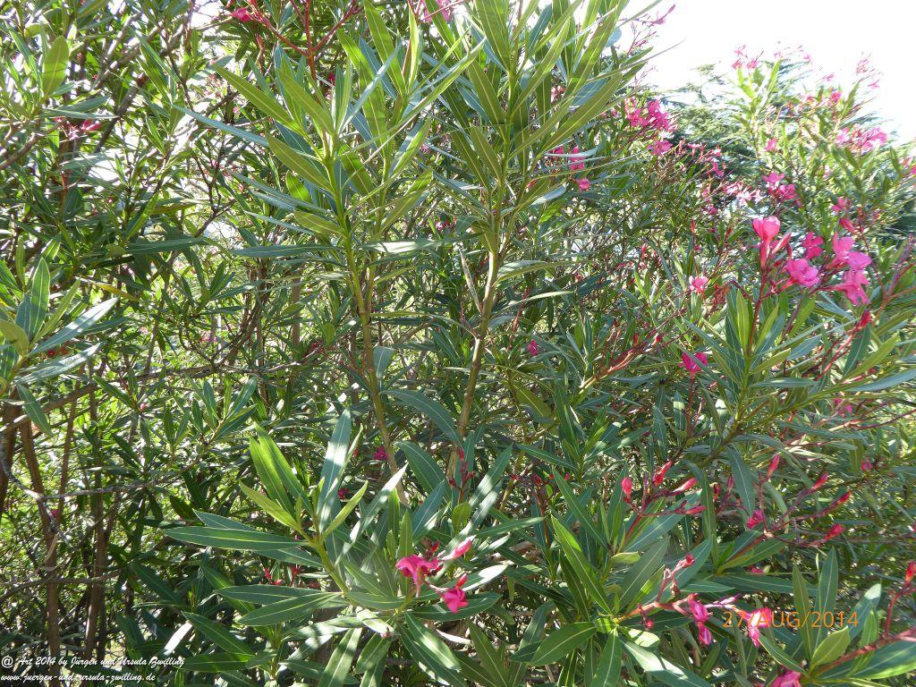 Riva del Garda - Lombardei - Brescia - Gardasee - Italien