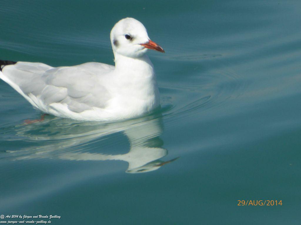 Sirmione Lombardei - Brescia - Gardasee - Italien