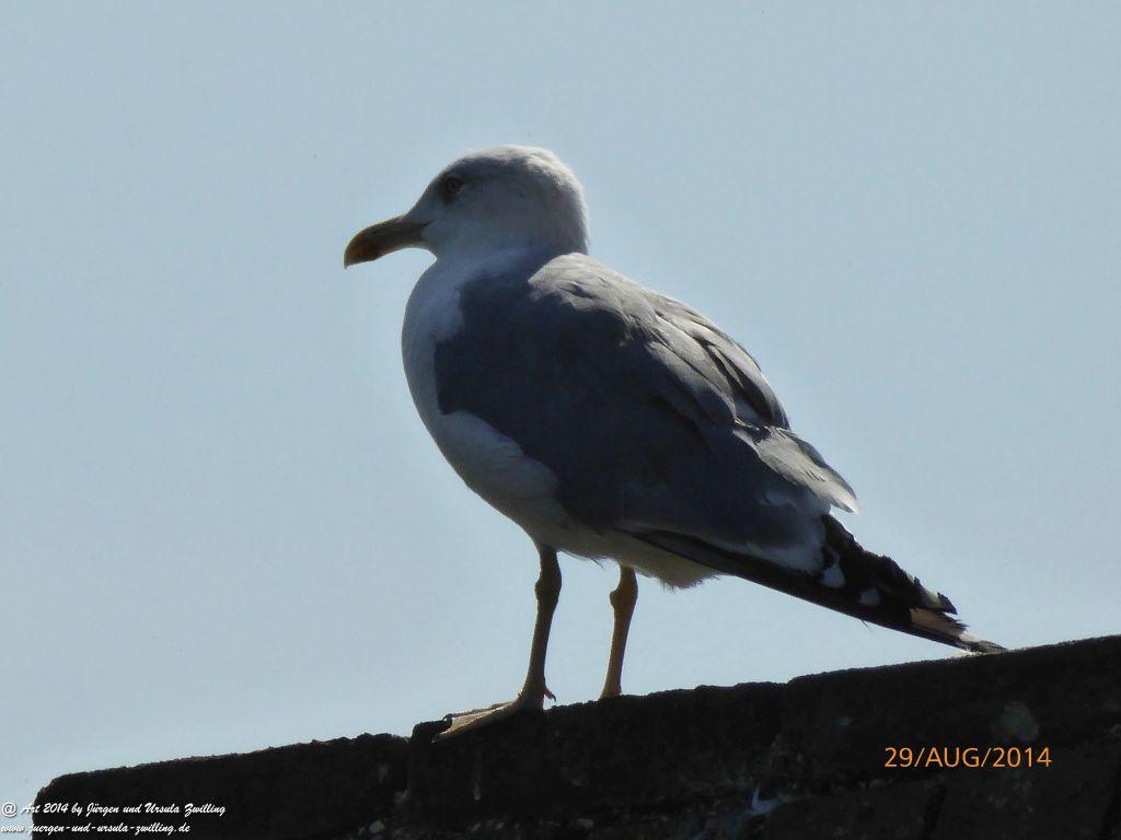 Sirmione Lombardei - Brescia - Gardasee - Italien