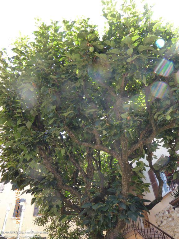 Sirmione Lombardei - Brescia - Gardasee - Italien