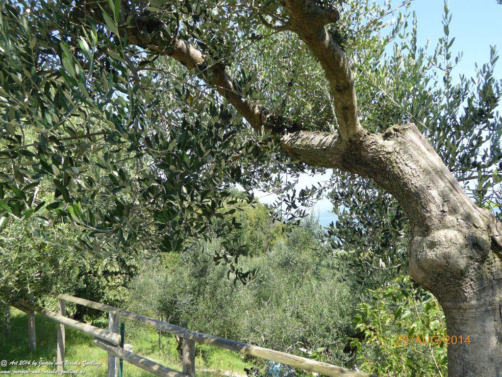 Sirmione Lombardei - Brescia - Gardasee - Italien