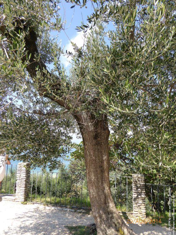 Sirmione Lombardei - Brescia - Gardasee - Italien