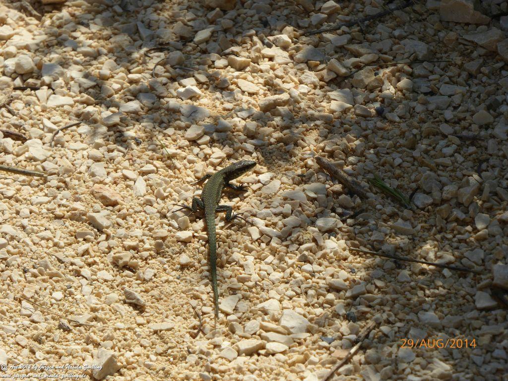 Sirmione Lombardei - Brescia - Gardasee - Italien