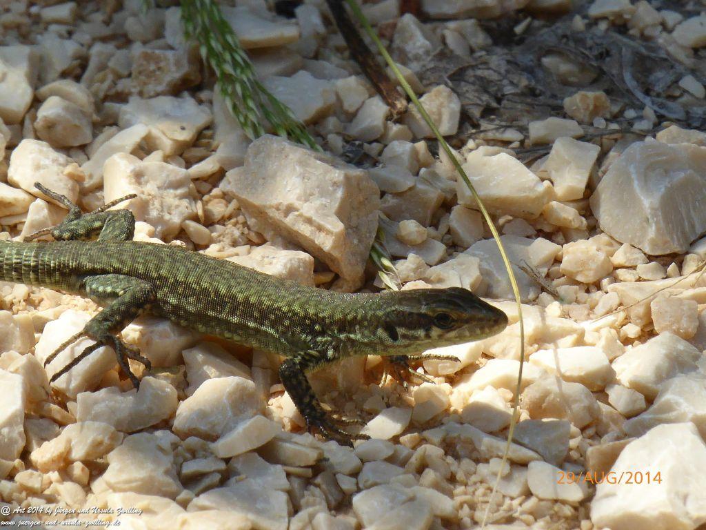 Sirmione Lombardei - Brescia - Gardasee - Italien