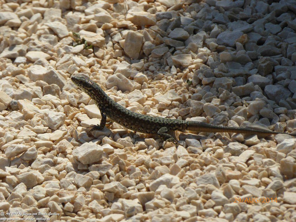 Sirmione Lombardei - Brescia - Gardasee - Italien