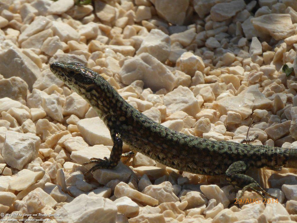 Sirmione Lombardei - Brescia - Gardasee - Italien