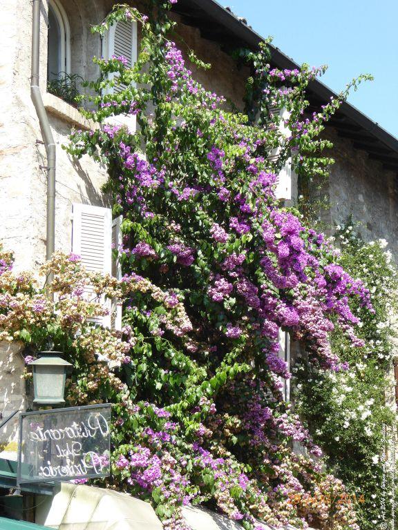 Sirmione Lombardei - Brescia - Gardasee - Italien