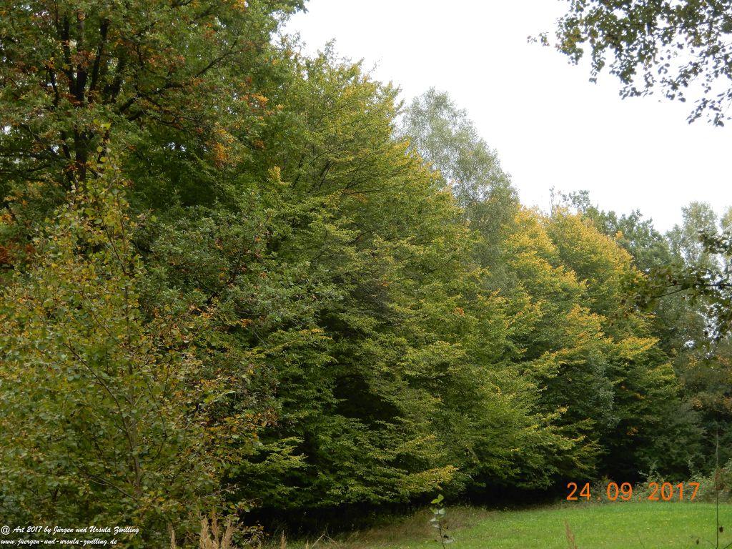 Herbst in der Feldern von Mainz Finthen - Ober Olmer Wald - Rheinhessen