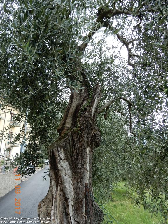 Philosophische Bildwanderung De Sentiero del Sole - Limone sul Garda - Lombardei - Brescia - Gardasee - Italien