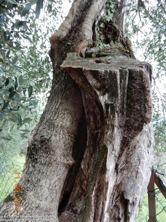 Philosophische Bildwanderung De Sentiero del Sole - Limone sul Garda - Lombardei - Brescia - Gardasee - Italien