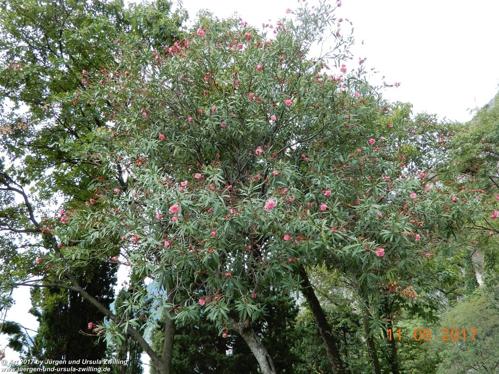 Philosophische Bildwanderung De Sentiero del Sole - Limone sul Garda - Lombardei - Brescia - Gardasee - Italien