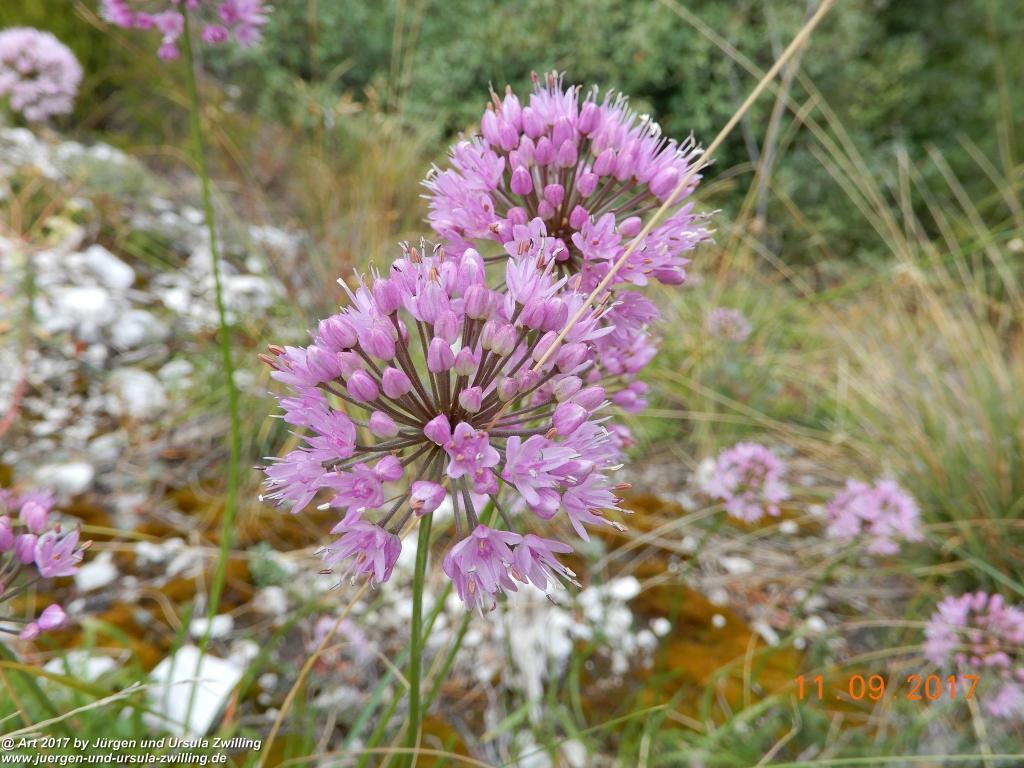 Philosophische Bildwanderung De Sentiero del Sole - Limone sul Garda - Lombardei - Brescia - Gardasee - Italien
