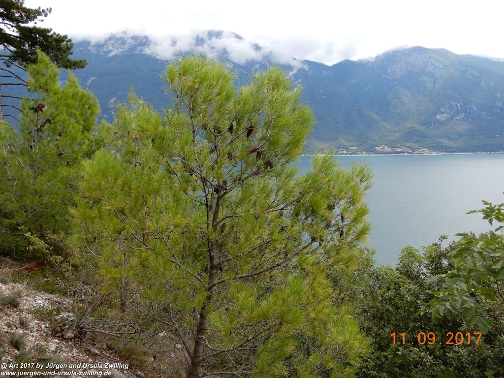 Philosophische Bildwanderung De Sentiero del Sole - Limone sul Garda - Lombardei - Brescia - Gardasee - Italien