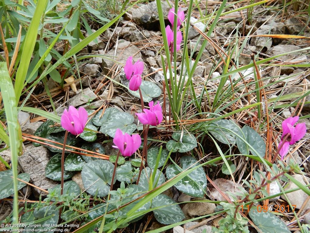 Philosophische Bildwanderung De Sentiero del Sole - Limone sul Garda - Lombardei - Brescia - Gardasee - Italien