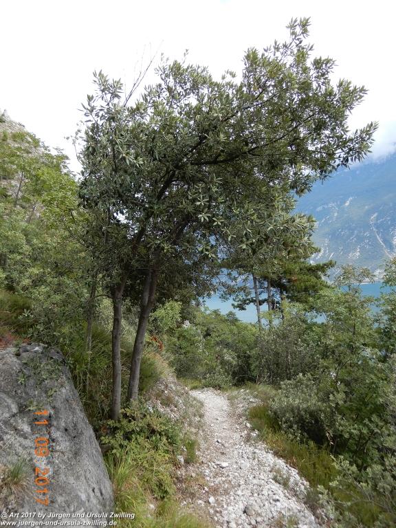 Philosophische Bildwanderung De Sentiero del Sole - Limone sul Garda - Lombardei - Brescia - Gardasee - Italien