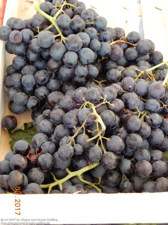 Shopping in Süddtirol - Italien