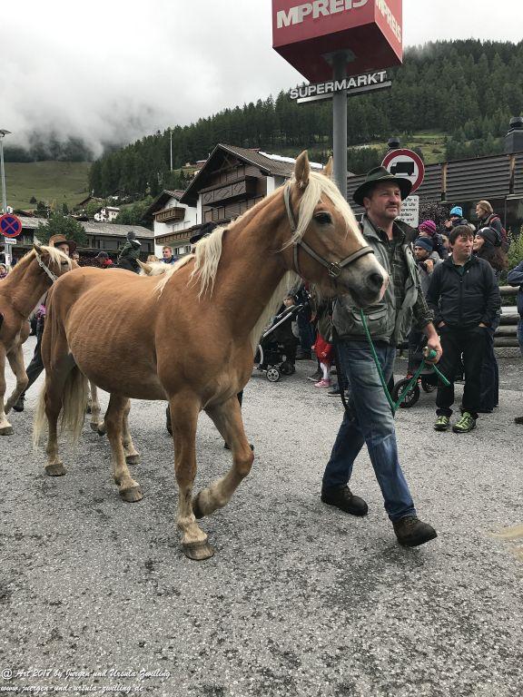 Almabtrieb und Bauernmarkt in Nauders am Reschenpass - Tirol - Landeck - Österreich