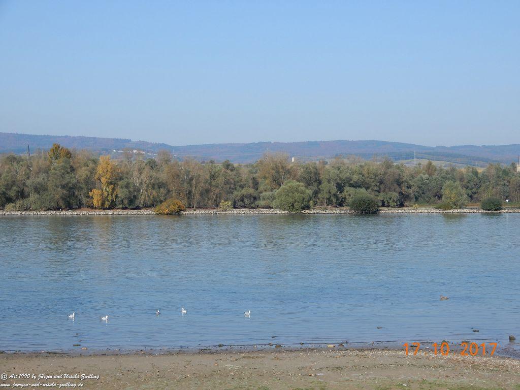 Heidenfahrt - Himmelblau am Rhein - Rheinhessen